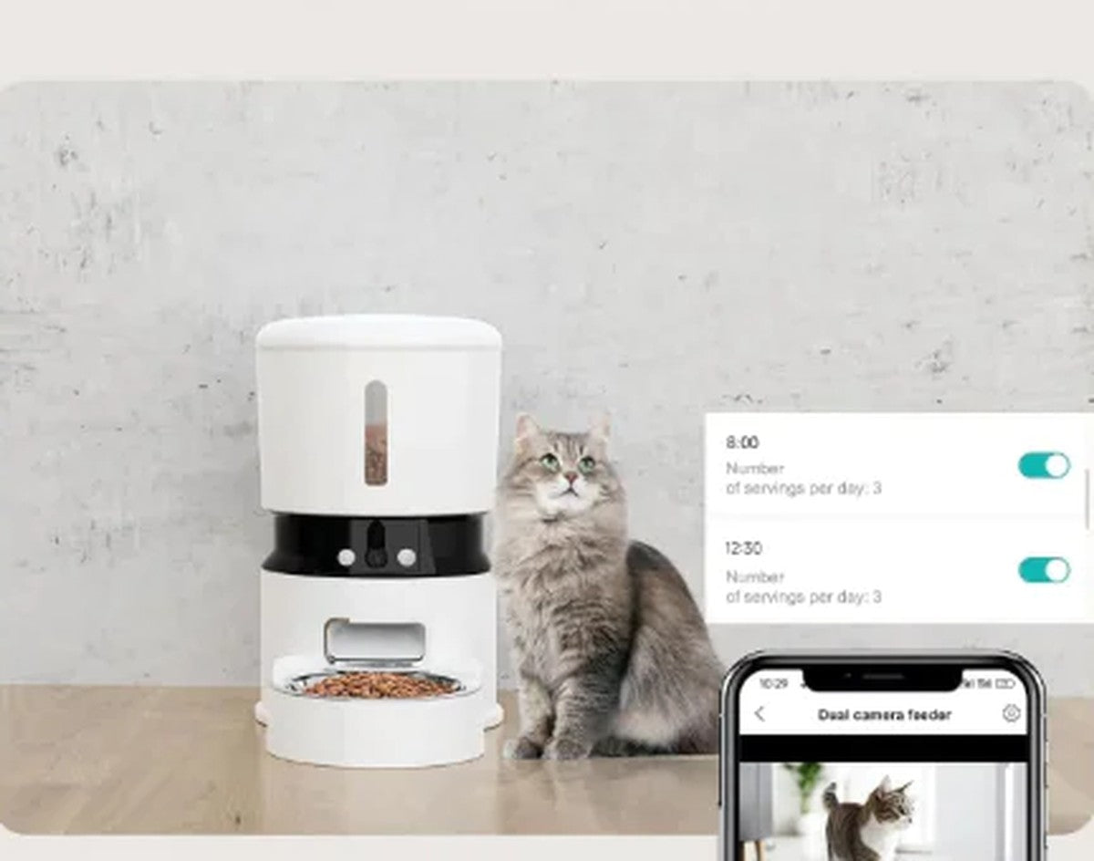 Cat sitting beside the WiFi camera feeder with the app feeding schedule and a live camera view shown on a phone